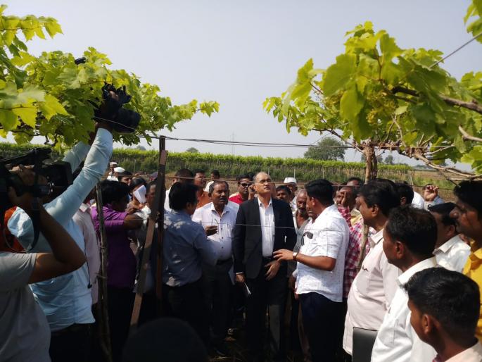 The officials were shocked to hear the farmers' agony! | शेतकऱ्यांच्या व्यथा ऐकून अधिकारीही हेलावले !  The officials were shocked to hear the farmers' agony! | शेतकऱ्यांच्या व्यथा ऐकून अधिकारीही हेलावले !