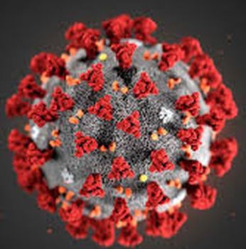 Eight corona positive on the same day in Nandurbar district | नंदुरबार जिल्ह्यात एकाच दिवशी आठ कोरोना पॉझिटिव्ह Eight corona positive on the same day in Nandurbar district | नंदुरबार जिल्ह्यात एकाच दिवशी आठ कोरोना पॉझिटिव्ह