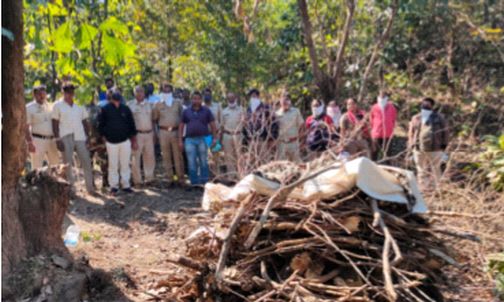 Gaddani hunts two leopards | गडदाणीला दोन बिबट्यांची शिकार