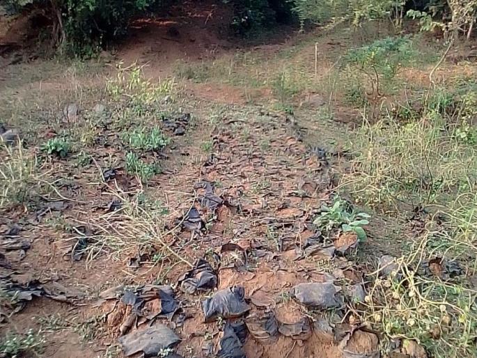 Rs 2 crore works in 'water' in Khapar forest area | खापर वनक्षेत्रात 2 कोटी रुपयांची कामे ‘पाण्यात’ Rs 2 crore works in 'water' in Khapar forest area | खापर वनक्षेत्रात 2 कोटी रुपयांची कामे ‘पाण्यात’