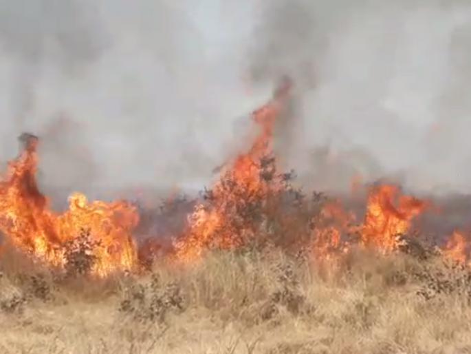 Fire again in Gorewada forest in Nagpur | नागपूरच्या गोरेवाडा जंगलात पुन्हा भीषण आग Fire again in Gorewada forest in Nagpur | नागपूरच्या गोरेवाडा जंगलात पुन्हा भीषण आग