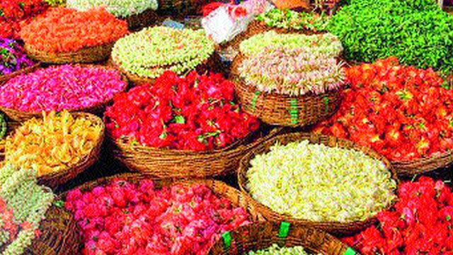 Welcome to the city of Santana | सटाणा शहरात जल्लोषात स्वागत Welcome to the city of Santana | सटाणा शहरात जल्लोषात स्वागत