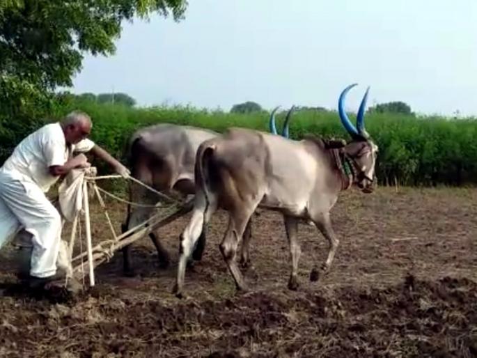 Three lakh hectare area is proposed to be acquired in Parbhani district | परभणी जिल्ह्यात पावणे तीन लाख हेक्टर क्षेत्र प्रस्तावित Three lakh hectare area is proposed to be acquired in Parbhani district | परभणी जिल्ह्यात पावणे तीन लाख हेक्टर क्षेत्र प्रस्तावित