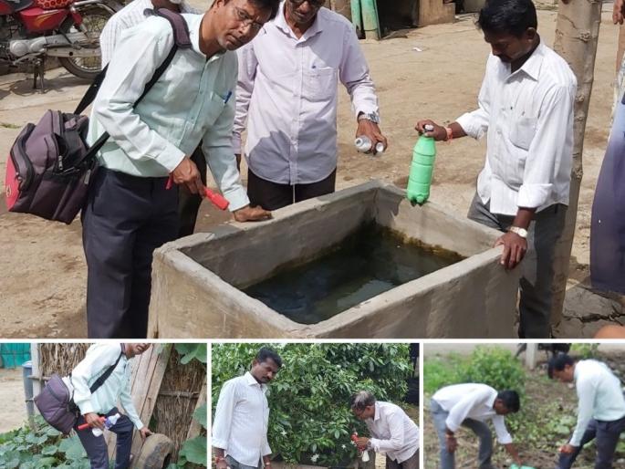 A fever survey at Verdi | वर्डी येथे तापरोग सर्व्हेक्षण A fever survey at Verdi | वर्डी येथे तापरोग सर्व्हेक्षण