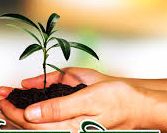 In the Bhusawal taluka, one lakh 24 thousand eighth trees will be green | भुसावळ तालुक्यात एक लाख २४ हजार आठशे वृक्षांनी होणार हिरवळ In the Bhusawal taluka, one lakh 24 thousand eighth trees will be green | भुसावळ तालुक्यात एक लाख २४ हजार आठशे वृक्षांनी होणार हिरवळ