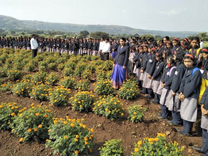 Students learned about organic flower beds | विद्यार्थ्यांनी जाणून घेतली सेंद्रिय फुलशेतीची माहिती Students learned about organic flower beds | विद्यार्थ्यांनी जाणून घेतली सेंद्रिय फुलशेतीची माहिती