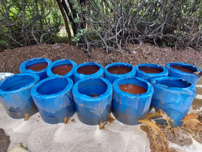 Raid on village liquor production premises in Mumbra: property of Rs 3 lakh seized along with chemicals | मुंब्रा येथील गावठी दारु निर्मितीच्या अड्डयांवर धाड: रसायनासह तीन लाखांचा मुद्देमाल जप्त Raid on village liquor production premises in Mumbra: property of Rs 3 lakh seized along with chemicals | मुंब्रा येथील गावठी दारु निर्मितीच्या अड्डयांवर धाड: रसायनासह तीन लाखांचा मुद्देमाल जप्त