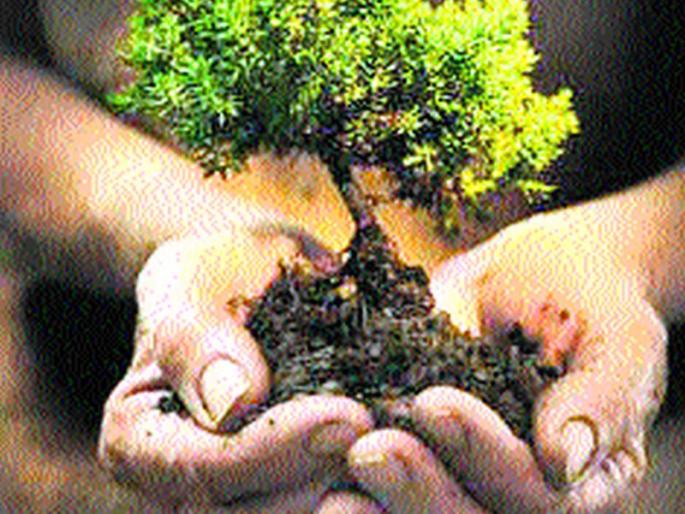 Tree Plantation in Trimbakeshwar Ashram | त्र्यंबकेश्वर आश्रमात वृक्षारोपण महायज्ञ