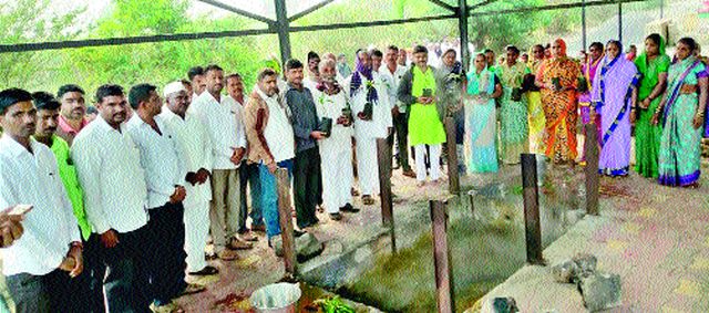 Useful plants in bone marrow fields | अस्थिविसर्जन करणाऱ्यांच्या शेतात उपयुक्त झाडे Useful plants in bone marrow fields | अस्थिविसर्जन करणाऱ्यांच्या शेतात उपयुक्त झाडे