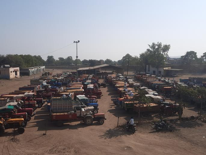 The price of maize in Umrane is Rs. 1,501 | उमराणेत मक्याला १,५०१ रुपये दर The price of maize in Umrane is Rs. 1,501 | उमराणेत मक्याला १,५०१ रुपये दर