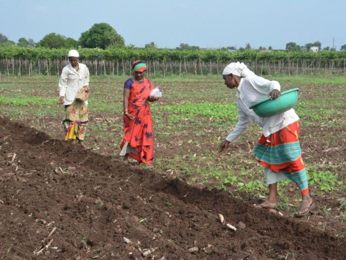 Farmers are worried as Varun Raja rolled his eyes | वरु णराजाने डोळे वटारल्याने शेतकरी चिंताग्रस्त Farmers are worried as Varun Raja rolled his eyes | वरु णराजाने डोळे वटारल्याने शेतकरी चिंताग्रस्त