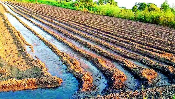 Due to the CM Warroom the speed of the work of Wardha | सीएम वॉररूममुळे निम्न वर्धाच्या कामाला वेग Due to the CM Warroom the speed of the work of Wardha | सीएम वॉररूममुळे निम्न वर्धाच्या कामाला वेग
