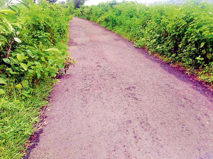 Bundle of goahda-salai (Peewalt) road | गोहदा-सालई (पेवठ) रस्त्याला झुडपांचा विळखा Bundle of goahda-salai (Peewalt) road | गोहदा-सालई (पेवठ) रस्त्याला झुडपांचा विळखा