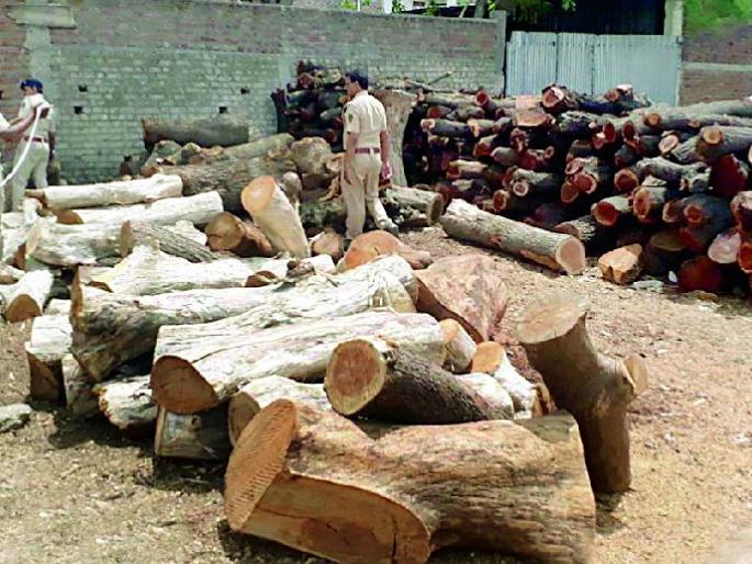 Five rocks are issued to the mills and one can seal | पाच आरा गिरण्यांना नोटीस तर एकाला सील Five rocks are issued to the mills and one can seal | पाच आरा गिरण्यांना नोटीस तर एकाला सील