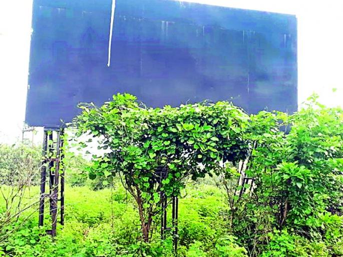 Eco-Friendly Elections to be held this year | यंदा होणार ‘इको फ्रेण्डली’ निवडणूक