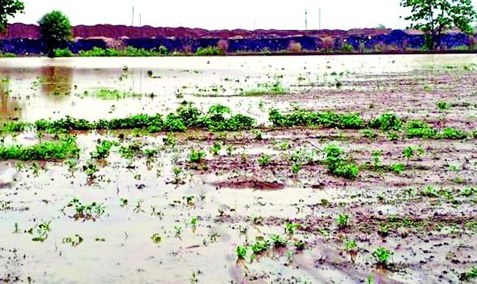 Crop damage due to debris | ढिगाऱ्यांमुळे पिकांचे नुकसान