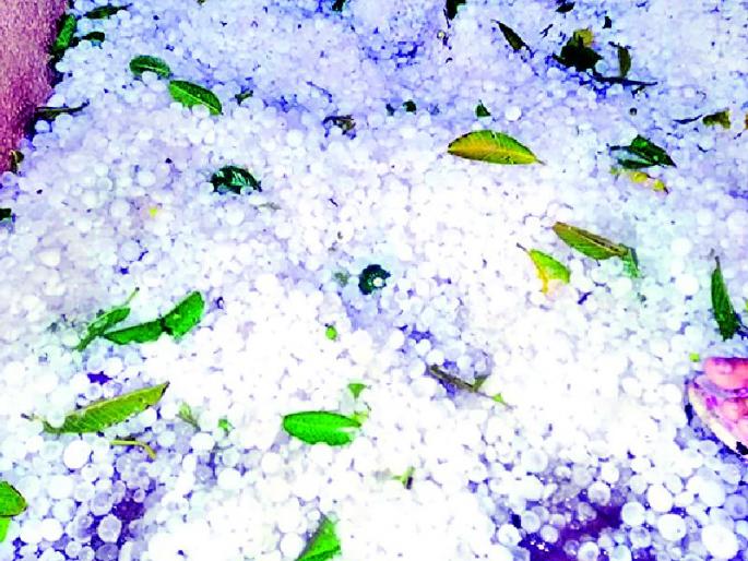 Winnie, furious blurred; | वणी, झरीला गारपिटीने झोडपले Winnie, furious blurred; | वणी, झरीला गारपिटीने झोडपले