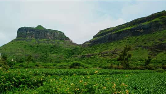Ankai fort closed for devotees, tourists; Monday's trip canceled | भाविक, पर्यटकांसाठी अनकाई किल्ला बंद; सोमवारची यात्रा रद्द Ankai fort closed for devotees, tourists; Monday's trip canceled | भाविक, पर्यटकांसाठी अनकाई किल्ला बंद; सोमवारची यात्रा रद्द