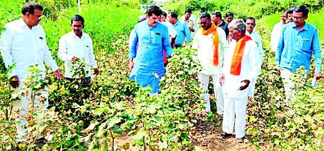 Ministers of Tourism Minister's Dandi | मंत्र्यांच्या दौऱ्याला अधिकाऱ्यांची दांडी