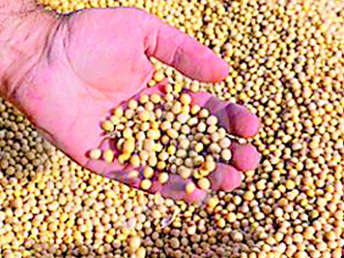 Soybean distributors are attracted to 'Gold' | सोयाबीन वितरकांना ‘गोल्ड’ची भुरळ