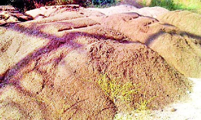 The sand smugglers in Umarkhed Haidos | उमरखेडमध्ये रेती तस्करांचा हैदोस The sand smugglers in Umarkhed Haidos | उमरखेडमध्ये रेती तस्करांचा हैदोस