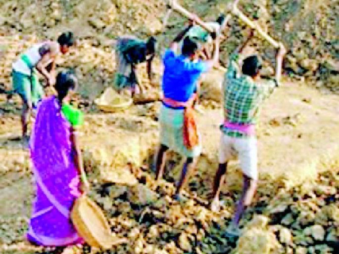 Recovery of Rs 2.5 crore from RFOs in cold | आरएफओंकडील अडीच कोटींची वसुली थंडबस्त्यात Recovery of Rs 2.5 crore from RFOs in cold | आरएफओंकडील अडीच कोटींची वसुली थंडबस्त्यात