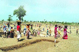 Government's 145 rupees daily, private sector is forced to pay only 600 rupees | सरकारचा १४५ रुपये रोज, खासगी क्षेत्राला मात्र ६०० रुपयांची सक्ती Government's 145 rupees daily, private sector is forced to pay only 600 rupees | सरकारचा १४५ रुपये रोज, खासगी क्षेत्राला मात्र ६०० रुपयांची सक्ती