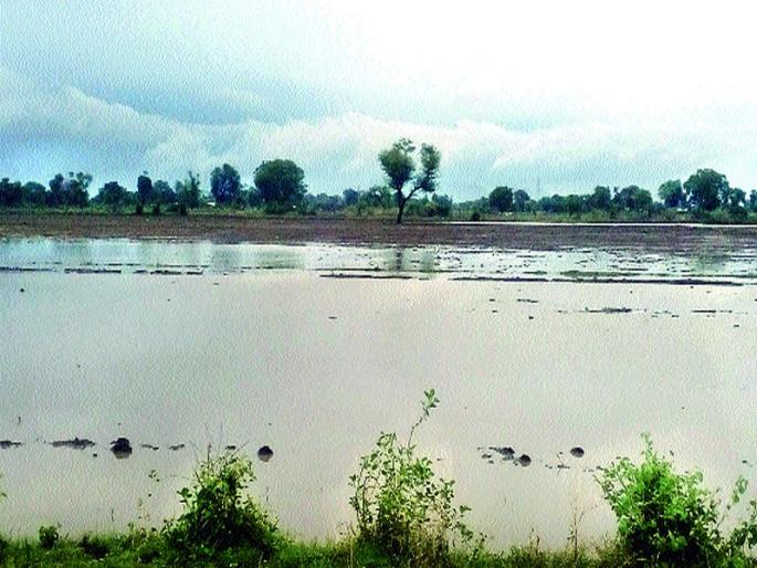 Rain in Yeola city with taluka | येवला शहरासह तालुक्यात पाऊस Rain in Yeola city with taluka | येवला शहरासह तालुक्यात पाऊस