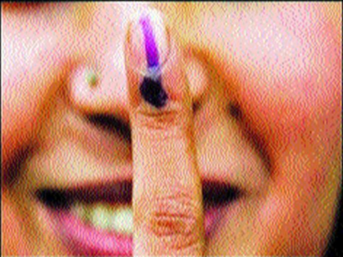 Alliance claims to be among the top candidates | युतीच्या दाव्याने आघाडीच्या उमेदवारांमध्ये चलबिचल  Alliance claims to be among the top candidates | युतीच्या दाव्याने आघाडीच्या उमेदवारांमध्ये चलबिचल