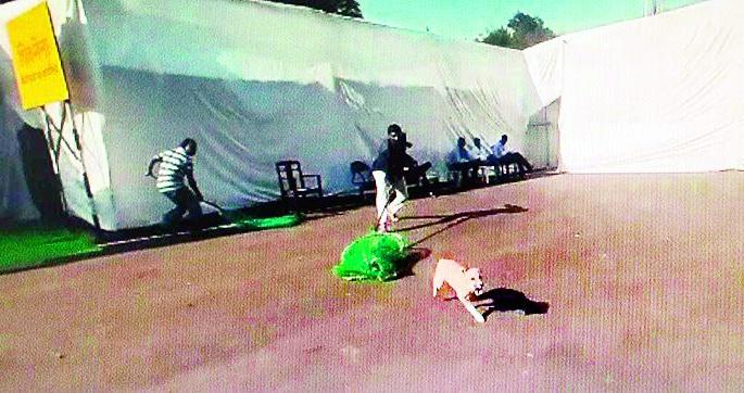 Winter Session 2022; The stray dogs in the legislature area are not caught in the net | हिवाळी अधिवेशन २०२२; विधिमंडळ परिसरातील मोकाट कुत्रे जाळ्यात अडकलेच नाहीत