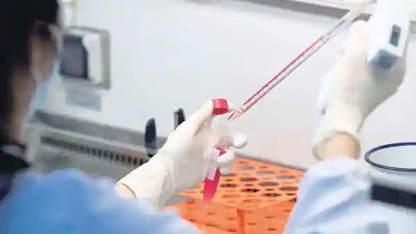 The world's largest 'Project Platina' is in trouble | जगातील सर्वात मोठा 'प्रोजेक्ट प्लॅटिना' अडचणीत