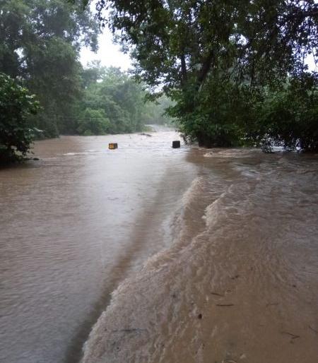 Heavy rains in Gadchiroli district; Hundreds of villages lost contact | गडचिरोली जिल्ह्यात मुसळधार पाऊस; शेकडो गावांचा संपर्क तुटला Heavy rains in Gadchiroli district; Hundreds of villages lost contact | गडचिरोली जिल्ह्यात मुसळधार पाऊस; शेकडो गावांचा संपर्क तुटला