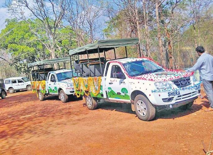 10 lakh work in 5 years, 9 crore paid; forest department workshops | ५ वर्षात १० लाखांचे काम, वेतन दिले ९ कोटी; वनविभागाच्या कर्मशाळांचे असेही 'कर्म' 10 lakh work in 5 years, 9 crore paid; forest department workshops | ५ वर्षात १० लाखांचे काम, वेतन दिले ९ कोटी; वनविभागाच्या कर्मशाळांचे असेही 'कर्म'