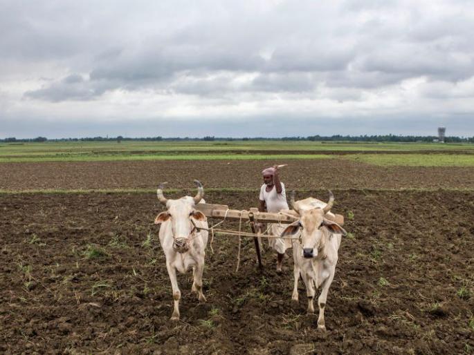 Only 40 percent of the loan disbursements in the division except Nagpur | नागपूर वगळता विभागात ४० टक्केच कर्जवाटप Only 40 percent of the loan disbursements in the division except Nagpur | नागपूर वगळता विभागात ४० टक्केच कर्जवाटप