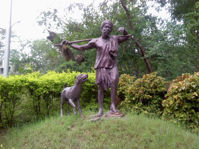 What is the proper category of Govari community? Government still confused | गोवारी समाजाचा नेमका प्रवर्ग कोणता? सरकार अद्याप संभ्रमात