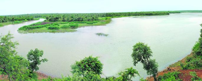 In July, the dam was empty in the Nagpur division | जुलैअखेरही नागपूर विभागातील धरणे कोरडीच In July, the dam was empty in the Nagpur division | जुलैअखेरही नागपूर विभागातील धरणे कोरडीच