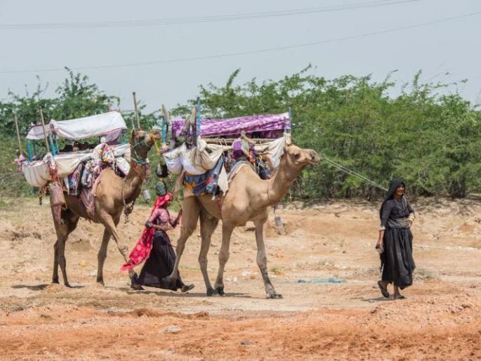 The situation has not improved, nor has the attitude of the society changed | ना सुधारली अवस्था, ना बदलली समाजाची नजर