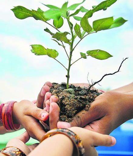 Protect the plants and make money; People oriented ventures | रोपवनांचे संरक्षण करा आणि पैसे कमवा; लोकाभिमुख उपक्रम Protect the plants and make money; People oriented ventures | रोपवनांचे संरक्षण करा आणि पैसे कमवा; लोकाभिमुख उपक्रम