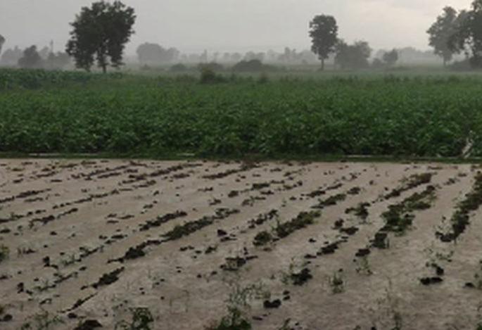 Heavy rain in Dhule, Ner, Mhasdi area | धुळे, नेर, म्हसदी परिसरात जोरदार पाऊस Heavy rain in Dhule, Ner, Mhasdi area | धुळे, नेर, म्हसदी परिसरात जोरदार पाऊस