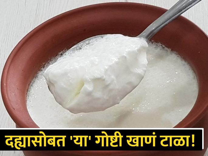 These foods you should avoid after eat curd | दही खाताना अजिबात करू नका 'या' चुका, फायद्याऐवजी होईल तुमचं नुकसान! These foods you should avoid after eat curd | दही खाताना अजिबात करू नका 'या' चुका, फायद्याऐवजी होईल तुमचं नुकसान!