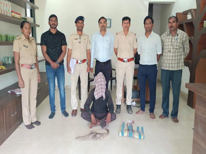 The forest department arrested the seller of monitor lizard | घाेरपडची विक्री करणाऱ्यास वनविभागाने केली अटक The forest department arrested the seller of monitor lizard | घाेरपडची विक्री करणाऱ्यास वनविभागाने केली अटक