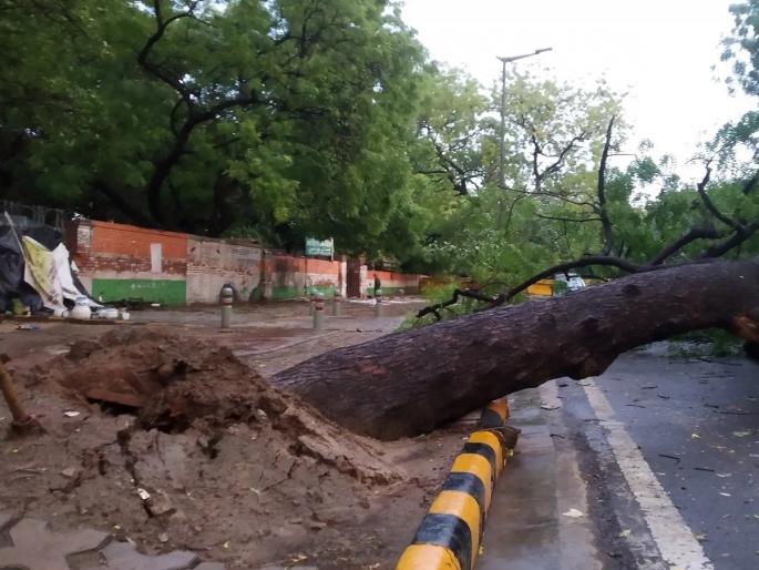 A tree fell on a house in Madkai, destroying the house, two injured | मडकई येथे राहत्या घरावर झाड पडून घर जमीनदोस्त, दोन जखमी A tree fell on a house in Madkai, destroying the house, two injured | मडकई येथे राहत्या घरावर झाड पडून घर जमीनदोस्त, दोन जखमी