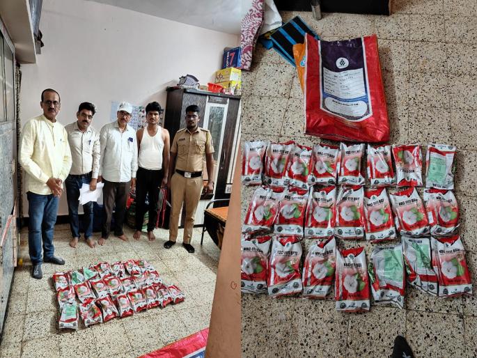 Crack down on unlicensed cottonseed sellers | विनापरवाना कपाशीचे बियाणे विकणाऱ्यावर छापा Crack down on unlicensed cottonseed sellers | विनापरवाना कपाशीचे बियाणे विकणाऱ्यावर छापा
