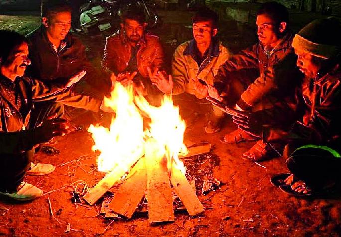 Hudhudi in the district | जिल्ह्यात हुडहुडी Hudhudi in the district | जिल्ह्यात हुडहुडी