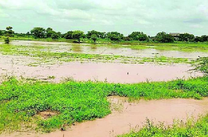 Gaiwadi farmers in crisis | गायवाडीचे शेतकरी संकटात Gaiwadi farmers in crisis | गायवाडीचे शेतकरी संकटात