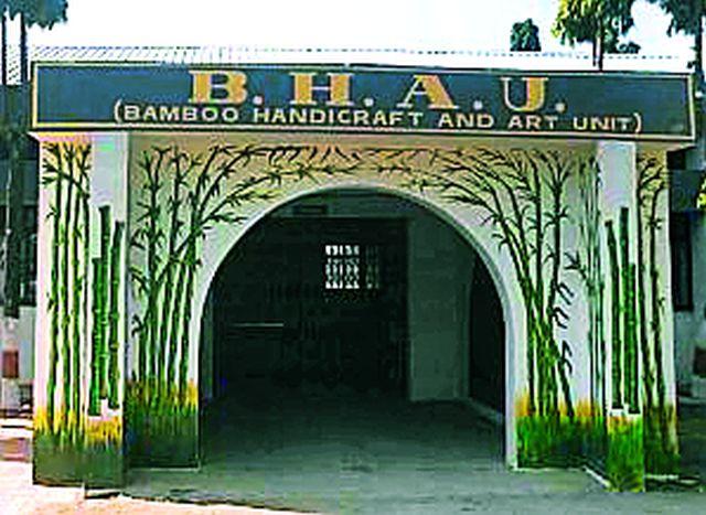 The university's bamboo project is unavoidable | विद्यापीठाचा बांबू प्रकल्प बेवारस The university's bamboo project is unavoidable | विद्यापीठाचा बांबू प्रकल्प बेवारस