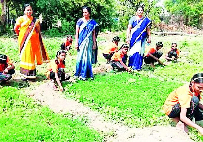 Dapori Zip, which uses social media for study. School | सोशल मीडियाचा अभ्यासासाठी उपयोग करणारी दापोरी जि.प. शाळा Dapori Zip, which uses social media for study. School | सोशल मीडियाचा अभ्यासासाठी उपयोग करणारी दापोरी जि.प. शाळा