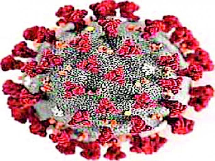 65 infected; Total 1550 | ६५ संक्रमित; एकूण १५५० 65 infected; Total 1550 | ६५ संक्रमित; एकूण १५५०