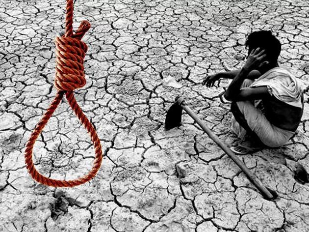 There is no 'comfort' for the suicidal peasant family | आत्महत्याग्रस्त शेतकरी कुटुंबाला ‘दिलासा’ नाहीच There is no 'comfort' for the suicidal peasant family | आत्महत्याग्रस्त शेतकरी कुटुंबाला ‘दिलासा’ नाहीच
