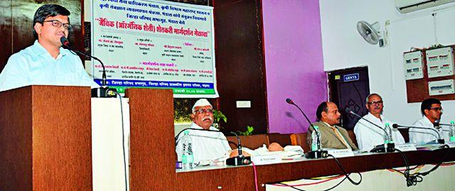 Farmers should go to the supermarket along with rice cultivation | शेतकऱ्यांनी भात शेतीसोबतच पुरक व्यवसायाकडे वळावे Farmers should go to the supermarket along with rice cultivation | शेतकऱ्यांनी भात शेतीसोबतच पुरक व्यवसायाकडे वळावे